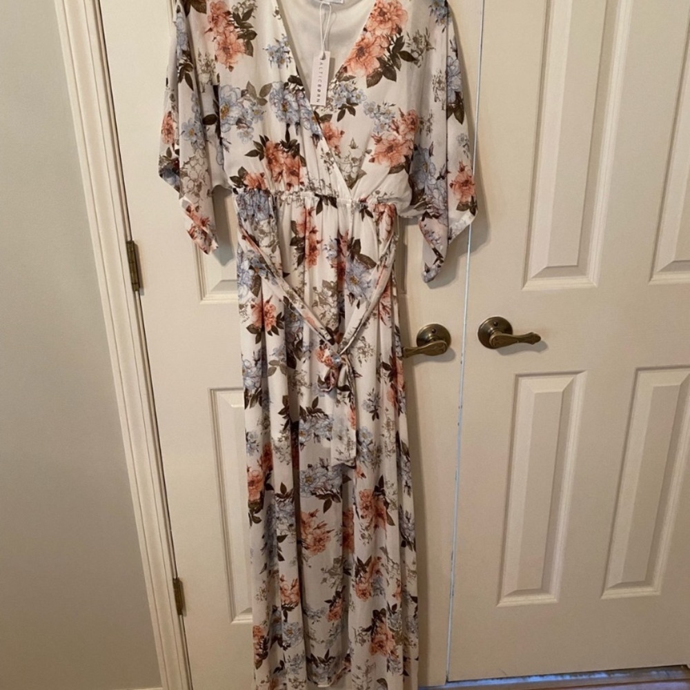 Baltic Born dress